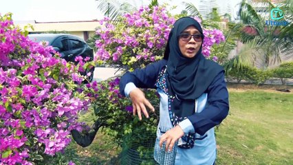 Mudahnya buat baja kompos sendiri