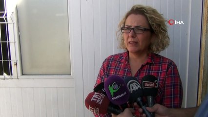 Yaralı bulunan vaşak kurtarılamadı