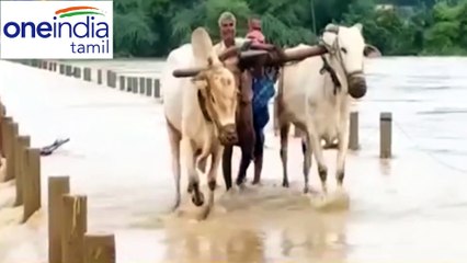 ஆந்திராவின் கண்டலேறு அணையில் இருந்து சென்னை பூண்டி ஏரிக்கு நீர் திறப்பு!-வீடியோ