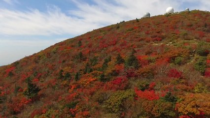 산 정상 울긋불긋...주말, 설악산부터 단풍 시작 / YTN