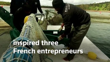 Africa's first and only caviar farm