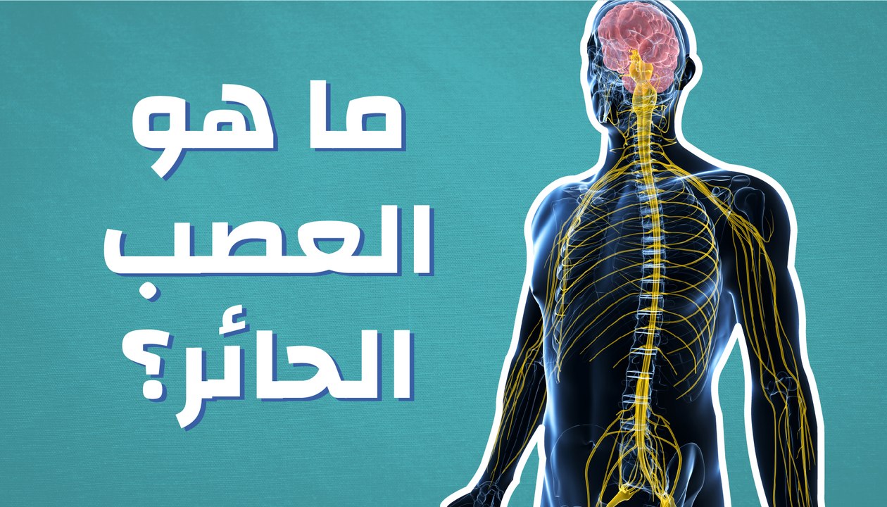 ما هو العصب الحائر؟