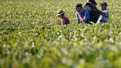 Trafic d'êtres humains : le Beaujolais secoué par une vaste enquête