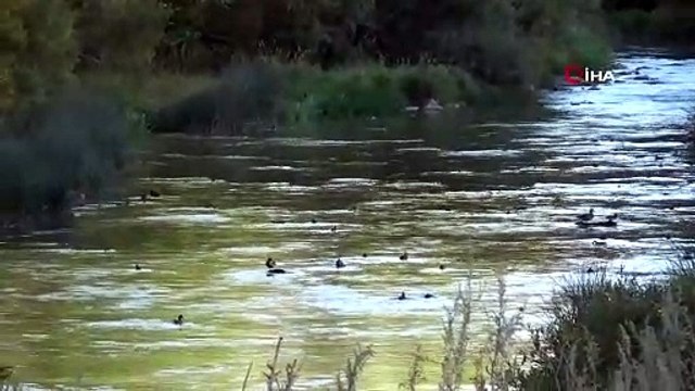 Koruma altındaki Kuyucuk Gölü kurudu