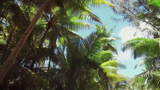 Polynésie, un écosystème sous haute surveillance #3 | Sur les routes de la science