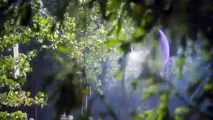 Le set du défilé Dior printemps-été 2020