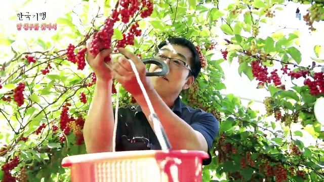 한국기행 - Korea travel_밥 친구를 찾아서 2부- 같이 먹어도 될까요?_#001