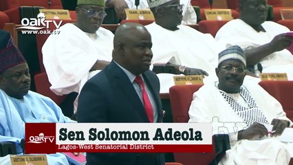 Why Senate can't overlook P&ID judgement - Omo Agege, others