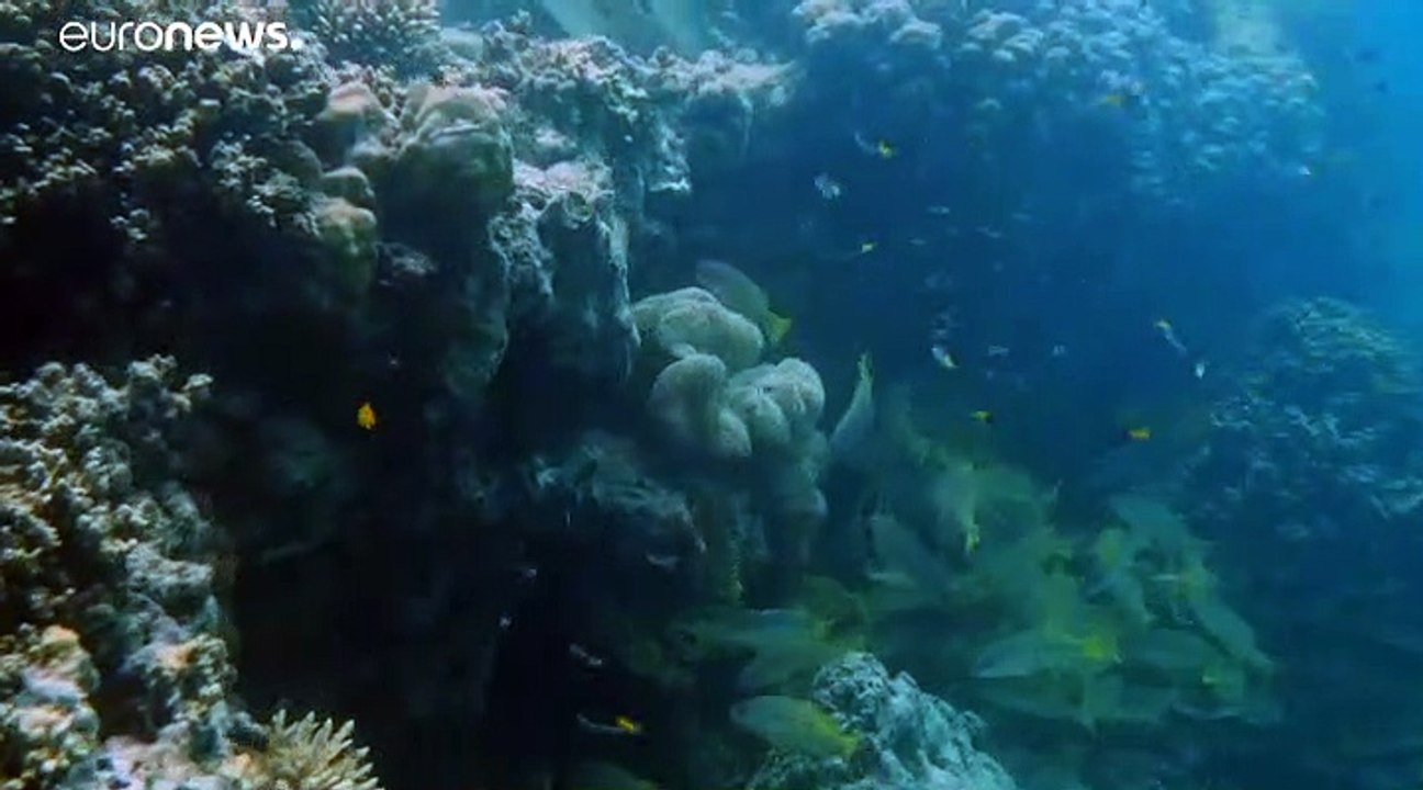 Clima: Ipcc, oceani sempre più caldi, danni in aumento