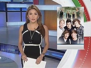 Petisyon na nagpapatigil sa concert ng One Direction, ibinasura