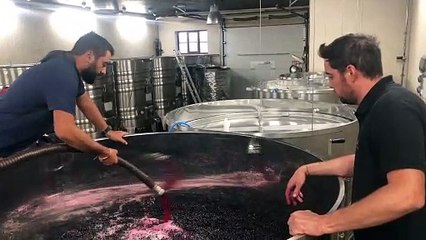 Cru 2019 : place aux premières opérations de vinification pour Thomas Bouley