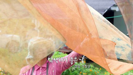 [영상] 0925 오늘의 사진 / YTN