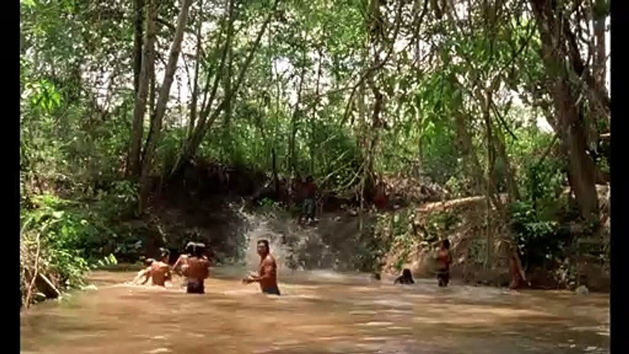 Le Chant de la forêt