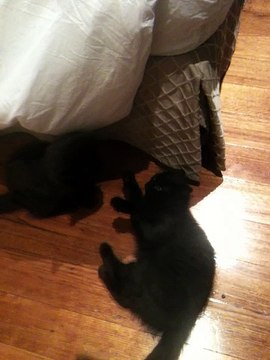 vlc-record-2019-09-25-22h41m01s-IMG_0177.MOV-