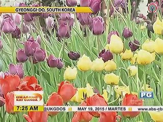 Jessy at Amy, bumisita sa South Korea