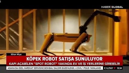 Köpek robot satışa sunuluyor