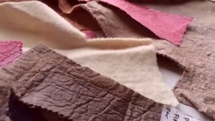 This New Textile Combines Sustainability with Fashion