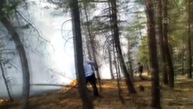 Sarıçam ormanlarında örtü yangını - KARS