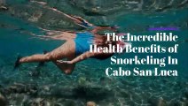 The Incredible Health Benefits of Snorkeling In Cabo San Lucas