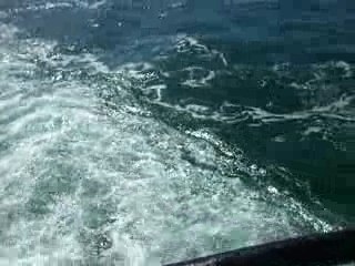 マゼラン海峡をフェリーで