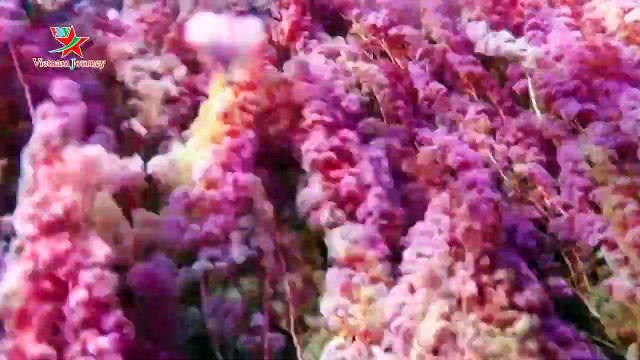 Khám phá vẻ đẹp dòng sông sắc màu nhất thế giới ở Colombia