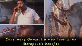 Gomutra special for health | CareNSave