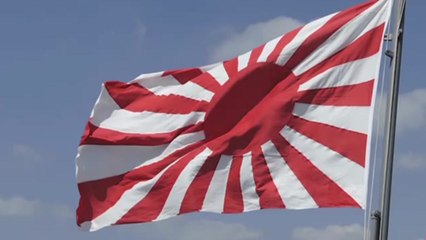 日 정부 '아무 문제 없다"는 욱일기...우익에겐 필수품 / YTN