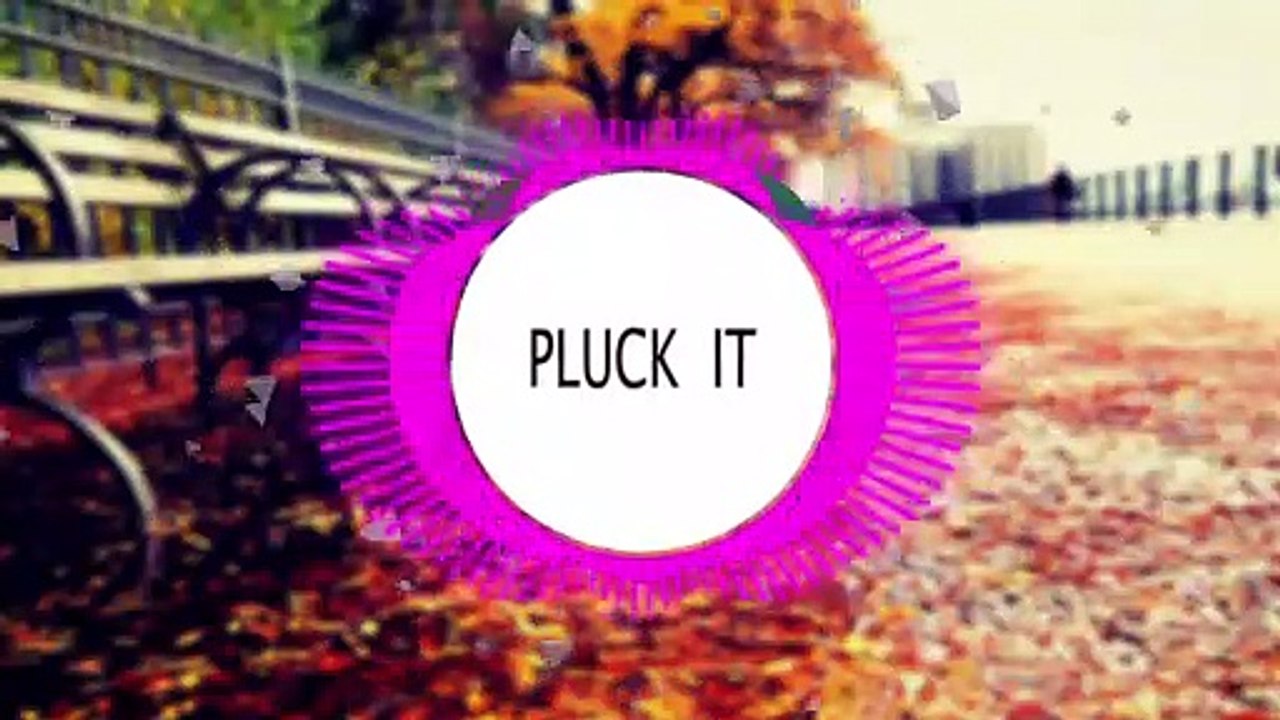 pluck it | Muscial video