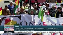 Bolivia: comienzan a llegar los primeros observadores electorales