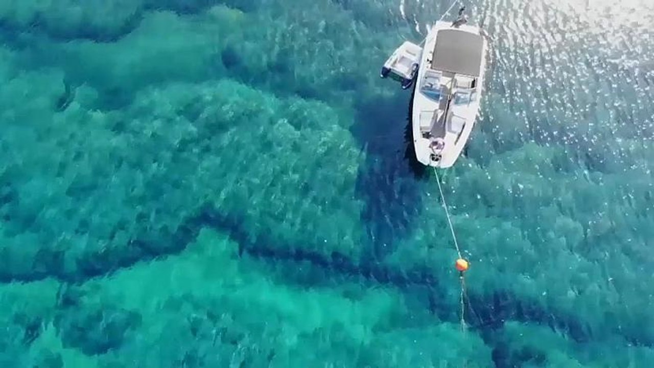 EU: 'Blue Economy' befindet sich im Aufwind