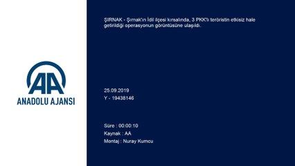3 teröristin etkisiz hale getirildiği operasyon - ŞIRNAK