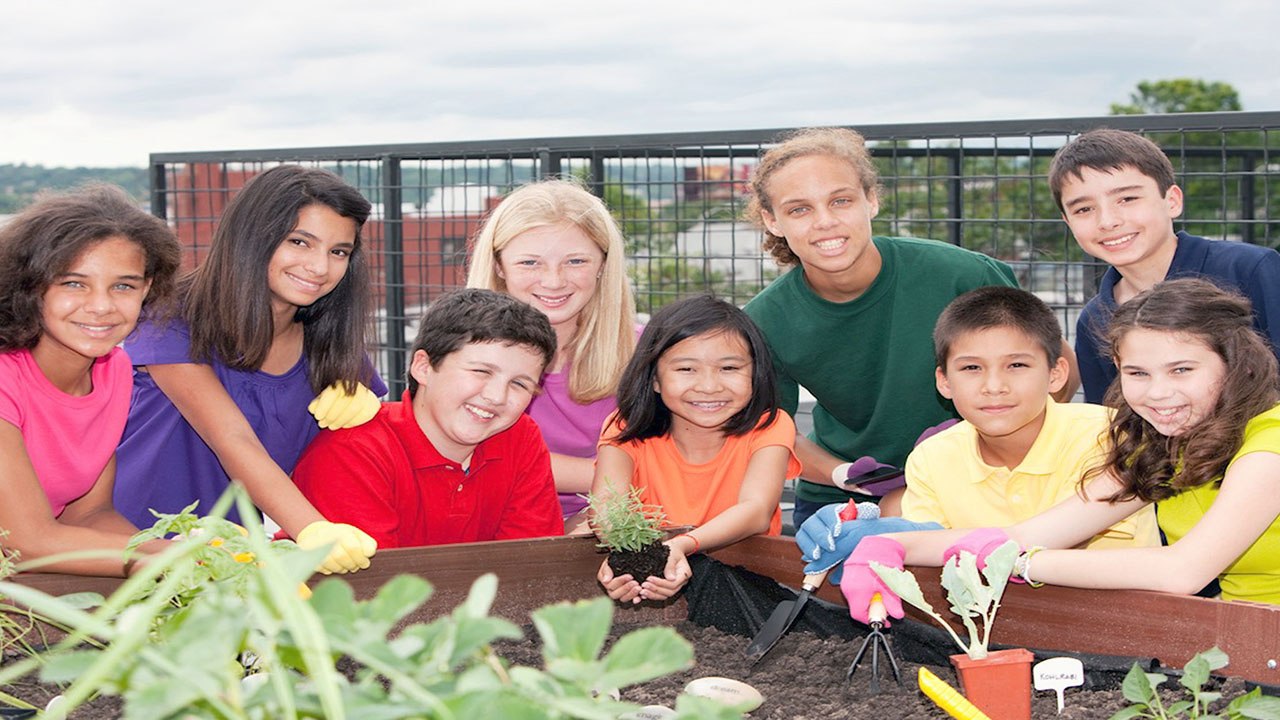 A School Turns A Barren Lawn Into A ‘Giving Garden’