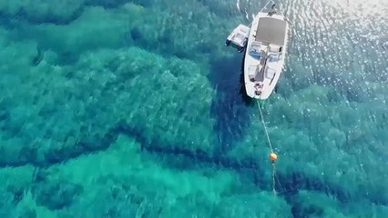 Subida da água do mar ameaça a vida como a conhecemos mas é no mar que está a salvação