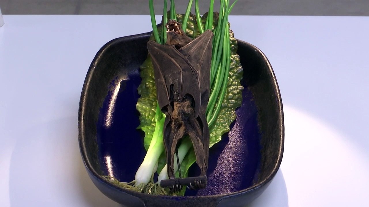 Fledermaus an Blattsalat: Museum für Ekel-Essen in Frankreich