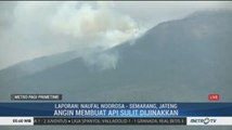 Belasan Hektar Lahan Terbakar di Gunung Sumbing