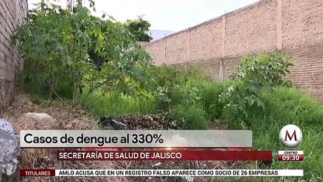 Se disparan 330% casos de dengue en Jalisco