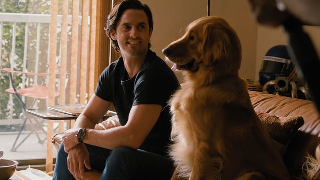 Exclusive: Watch Milo Ventimiglia Play With an Incredibly Cute Dog in The Art of Racing in the Rain