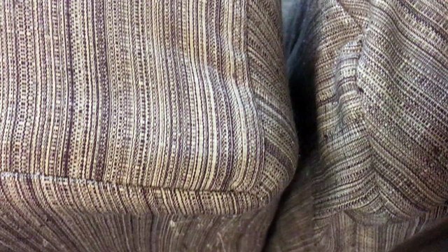 Cats Caught Cuddling