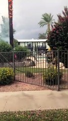 Firefighters Put Out Burning Palm