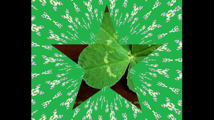 Your friendship is like a lucky clover [Quotes and Poems]