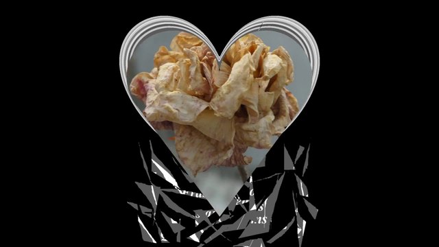 Meus sentimentos por você cresceram como uma flor, e morreram, você não deu valor [Frases e Poemas]