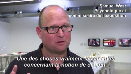 Les aliments les plus dégoûtants au monde s'exposent à Nantes