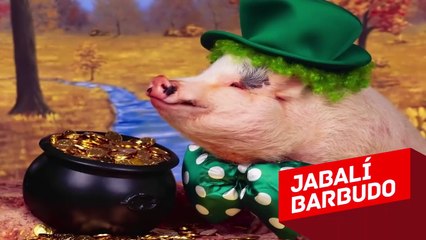 10 Animales que No Creerás que Existen