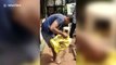 Sneaky PYTHON rescued from shopfront in western India