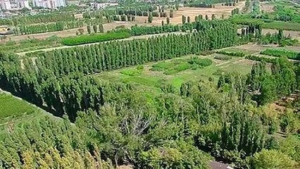 Mansur Yavaş, Atatürk'ün mirasını betonlaşmaktan kurtardı