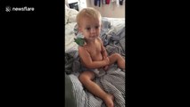 Argh! Precious little boy does pirate impression with bird buddy in Florida