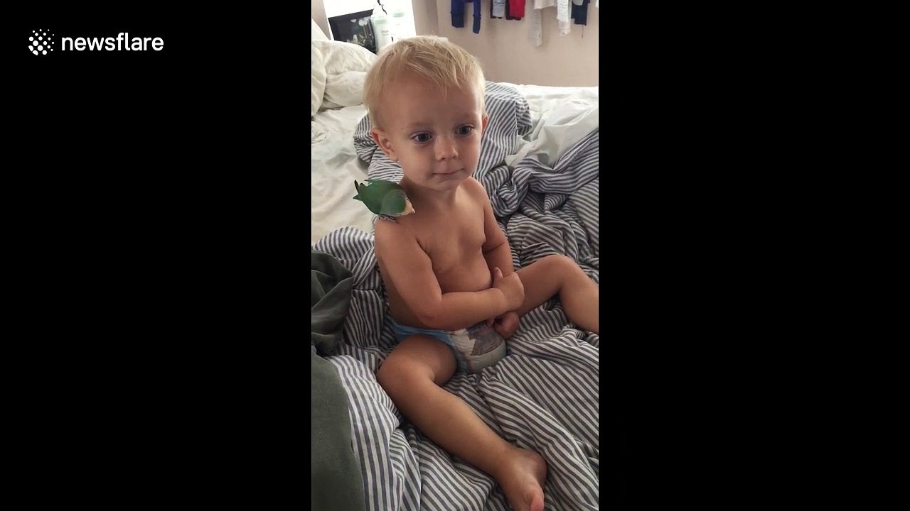 Argh! Precious little boy does pirate impression with bird buddy in Florida