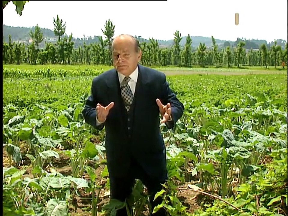 Lendas e Narrativas I #40, Os Mistérios de S. Mamede, Guimarães, 10 Jul 1996