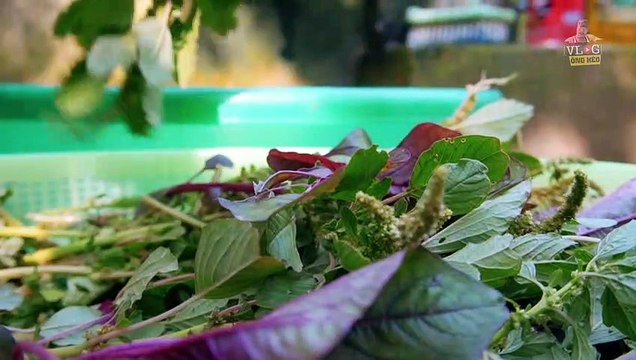 Bữa Cơm Chiều của Ba I Thịt kho tàu, Dưa muối [ Ẩm Thực Ba Làm]