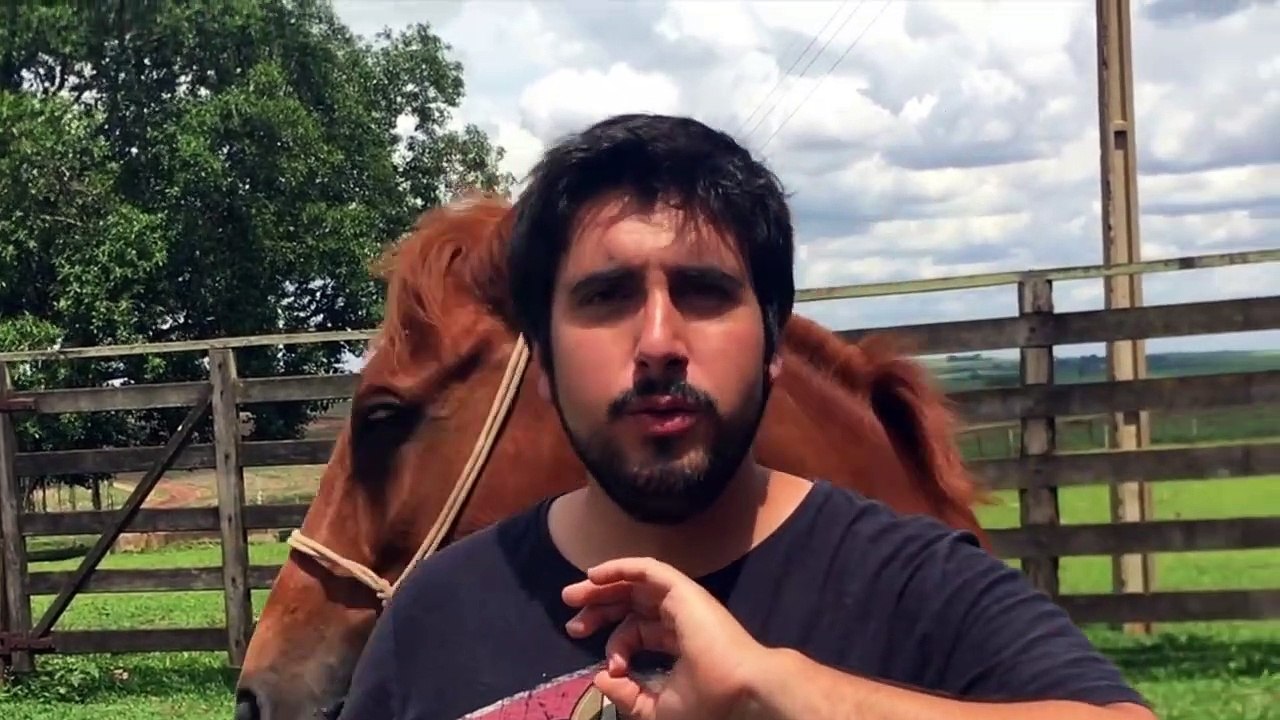 Como Se Comunicar Com Seu Cavalo?